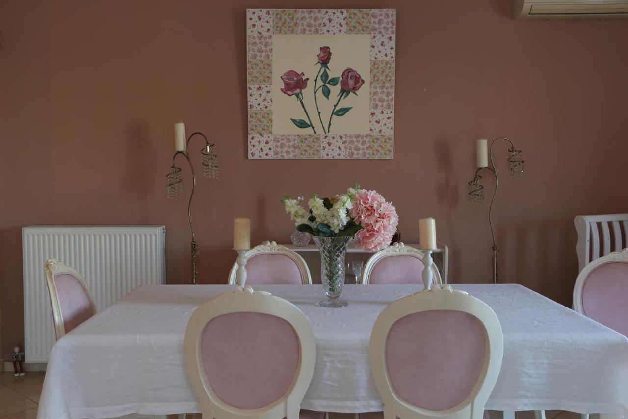 Chrisa'S Beautiful Apartment Chania خانيا المظهر الخارجي الصورة